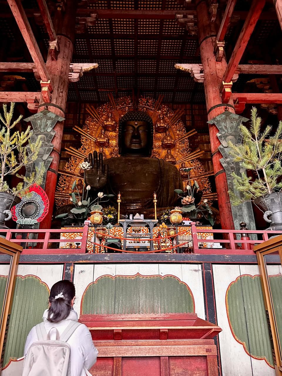 Paquetes de viaje todo incluido a destinos increíbles