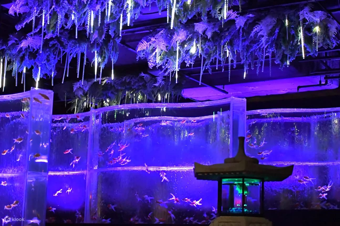 Entrada al Museo del Acuario de Arte GINZA