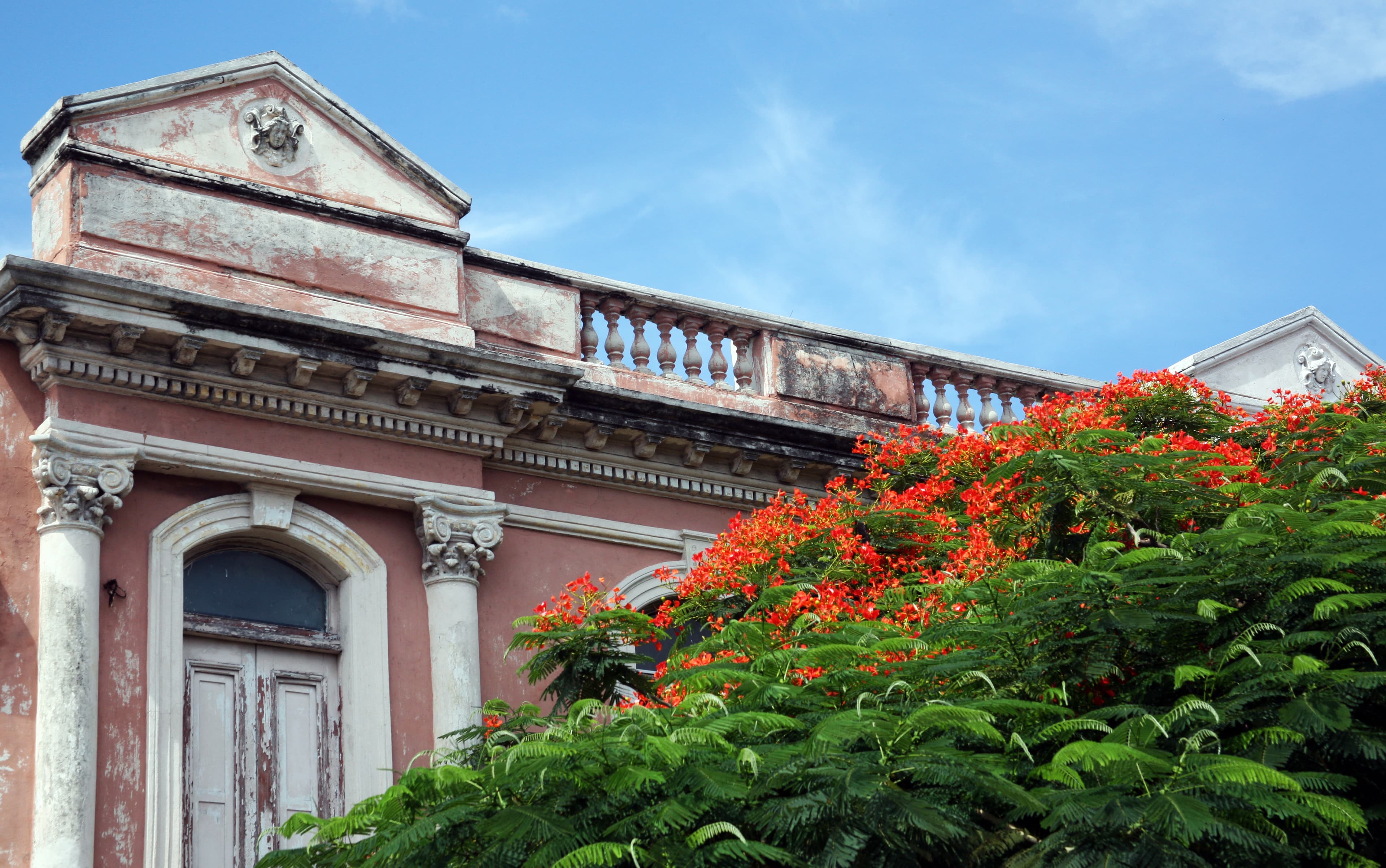 Si hay algo que me encanta de viajar dentro de México es descubrir cómo, dentro del mismo país, cambian los paisajes, los sabores, la historia y hasta la forma de hablar. Y pocas rutas reflejan ese contraste tan bonito como Mérida y Ciudad Juárez.