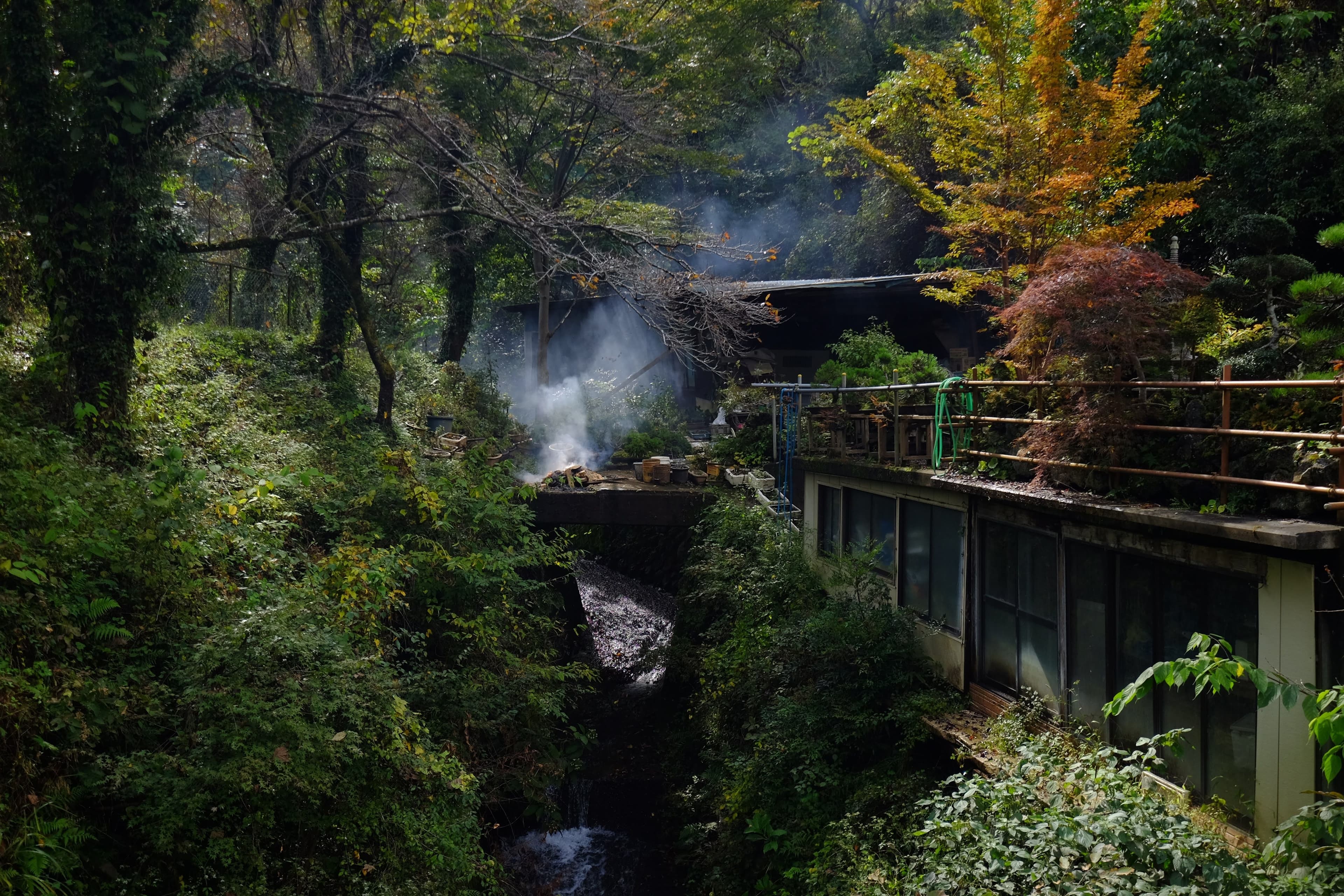 Onsen en medio del bosque en Japón