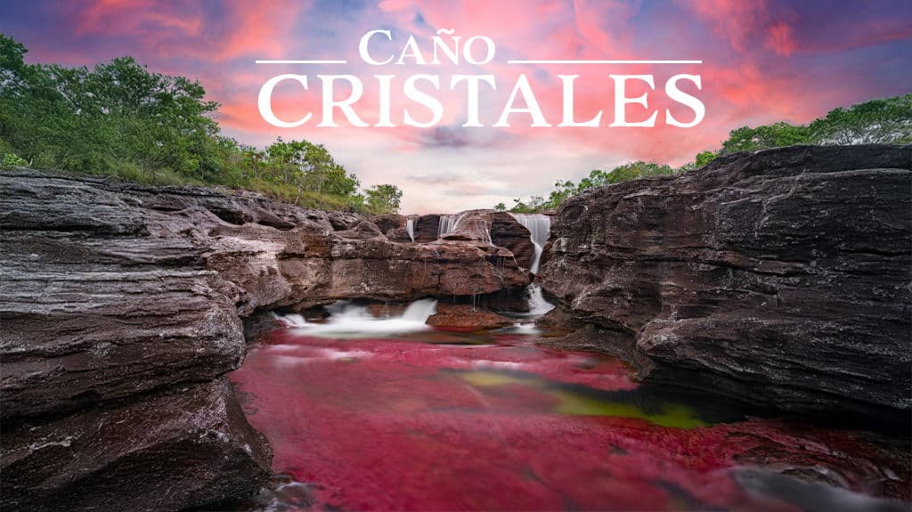 Caño Cristales - Paquete de viaje a Sudamérica