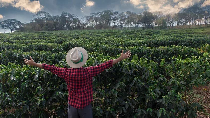 Con Aroma de Café Iniciando desde Pereira - Paquete de viaje a Sudamérica